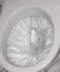 FlushingToilet