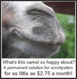 SmilingCamelWithText