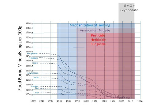 foodBorneMineralsMgPer100g